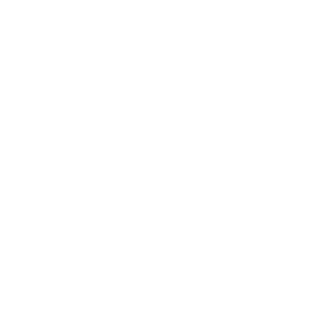 Alonzo Roofing Co